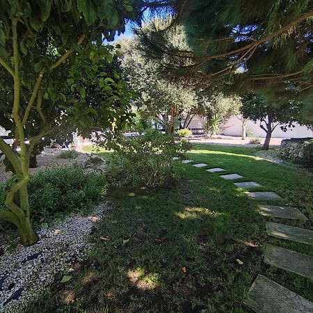 Quinta Camargue Bed & Breakfast Cela Velha Dış mekan fotoğraf