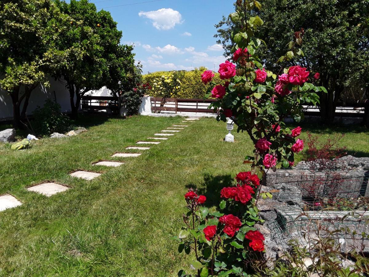 Quinta Camargue Bed & Breakfast Cela Velha Dış mekan fotoğraf