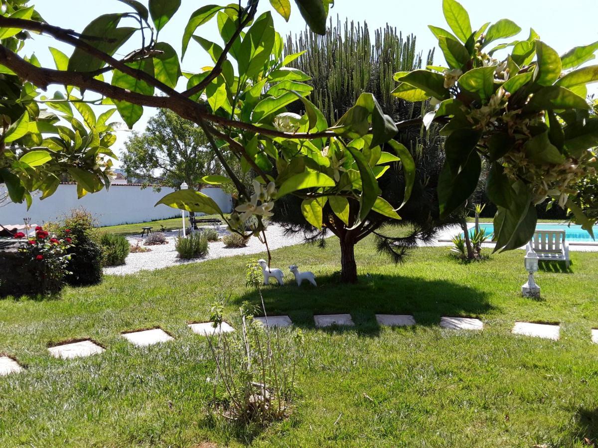 Quinta Camargue Bed & Breakfast Cela Velha Dış mekan fotoğraf