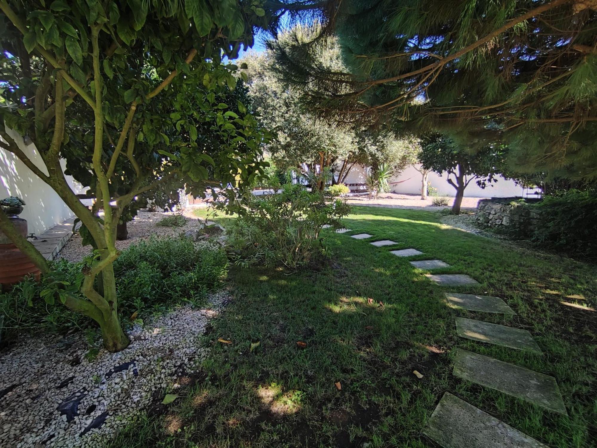 Quinta Camargue Bed & Breakfast Cela Velha Dış mekan fotoğraf