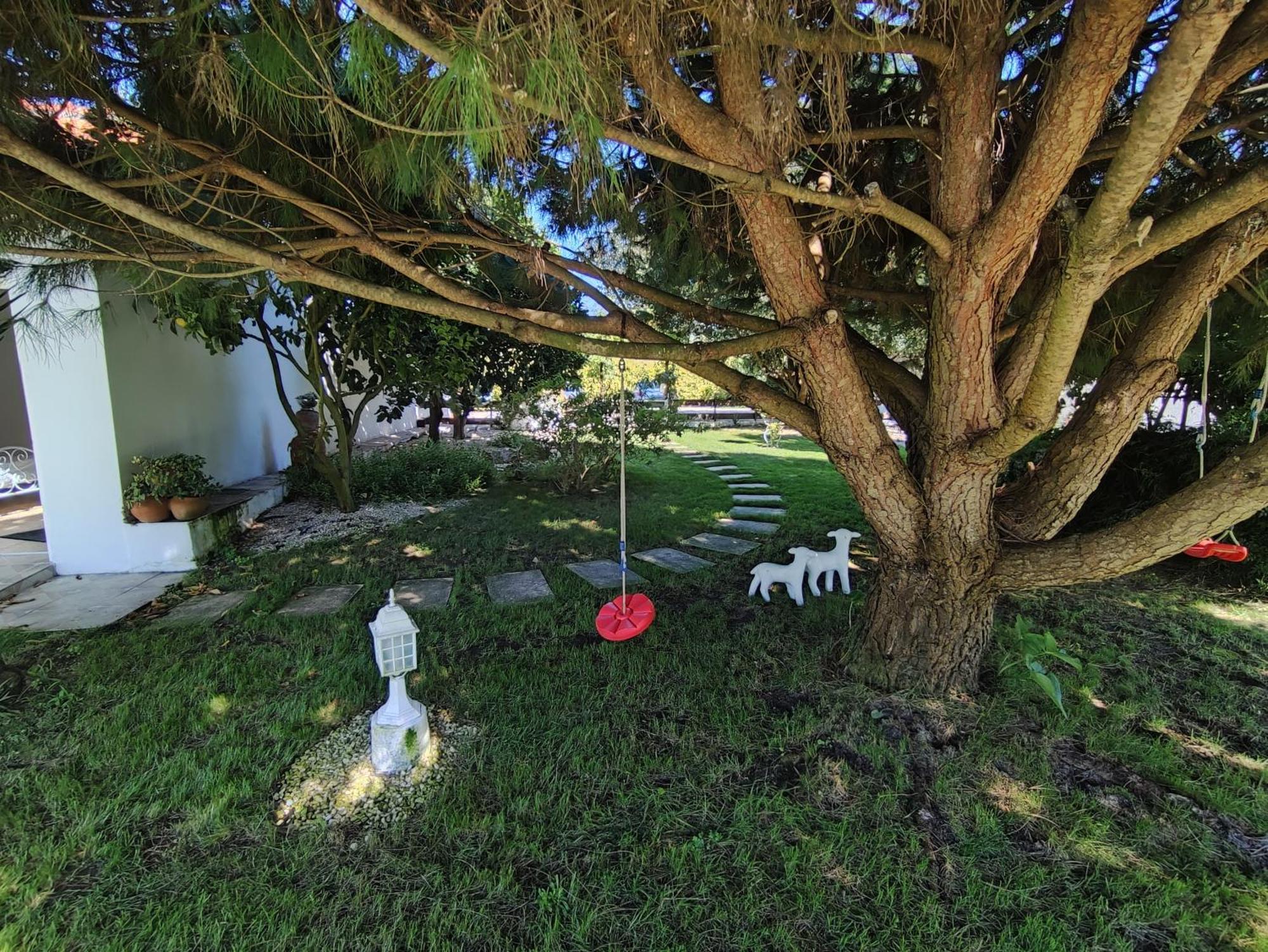 Quinta Camargue Bed & Breakfast Cela Velha Dış mekan fotoğraf